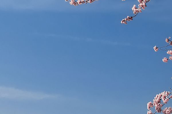 如何顺利考取医美咨询师证医美咨询师考试难度