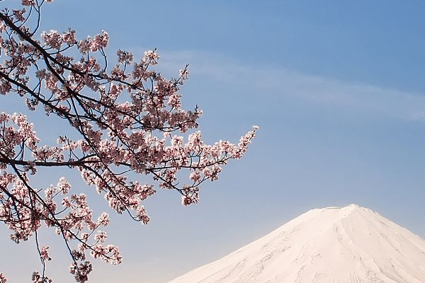 如何顺利考取医美咨询师证医美咨询师证书考试