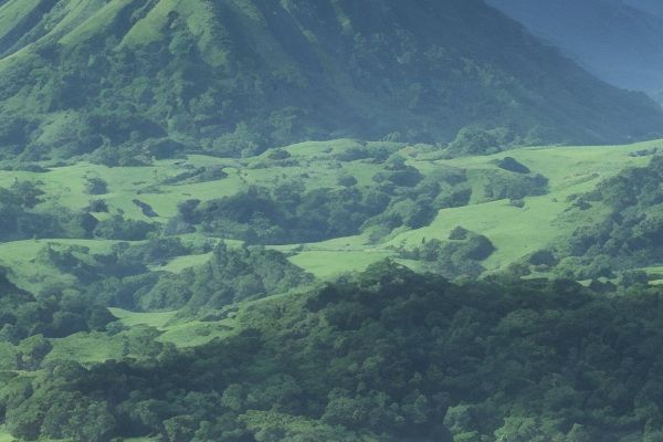 全国植发医院医生查询服务全国植发医生