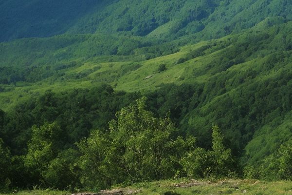 诺美尔生物科技有限公司招聘情况及职位信息诺美尔生物科技招聘岗位