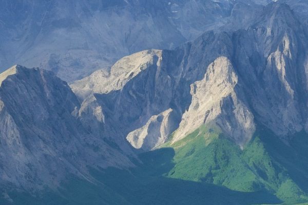 诺美尔生物科技有限公司招聘情况及职位信息