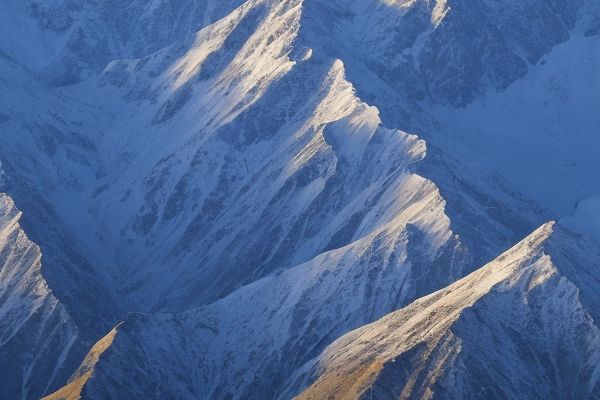 青岛海诺生物工程：连接科技与健康的领先企业海诺生物