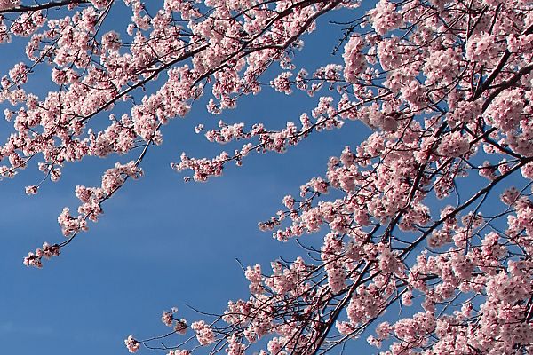 山西奥德福生物科技有限公司：推动生物科技创新的领导者生物科技创新