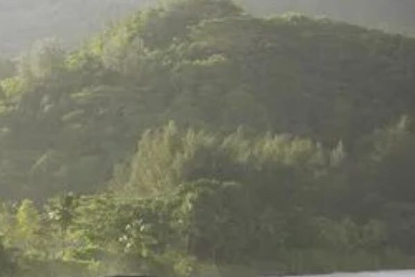 广州雅妍时光医疗美容医院：美丽时光，尽在雅妍
