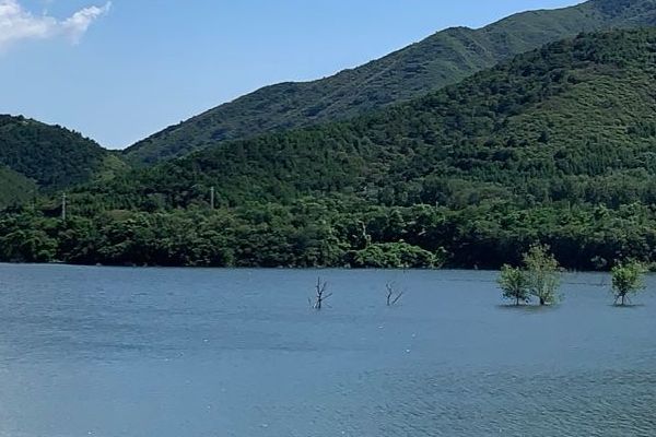 整容课程PPT：美丽塑造与面部改善的实用指南