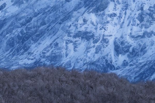 医美面诊师的必备条件及要求沟通能力