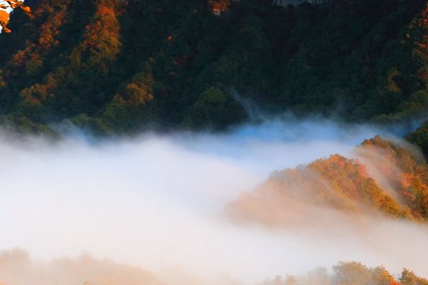 甄漂亮整形医院-让你焕发美丽容颜美容