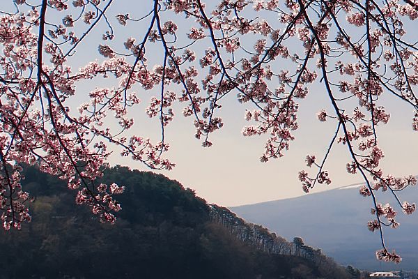 石家庄天伊美医疗美容医院：打造您的美丽天堂石家庄美容