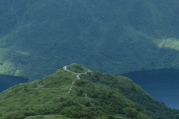 常见的顾客咨询问题及解答