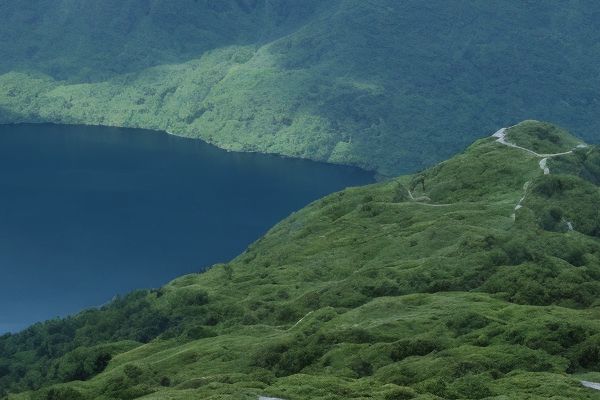 信阳美星医疗整形美容医院：专业塑造美丽形象信阳医疗整形