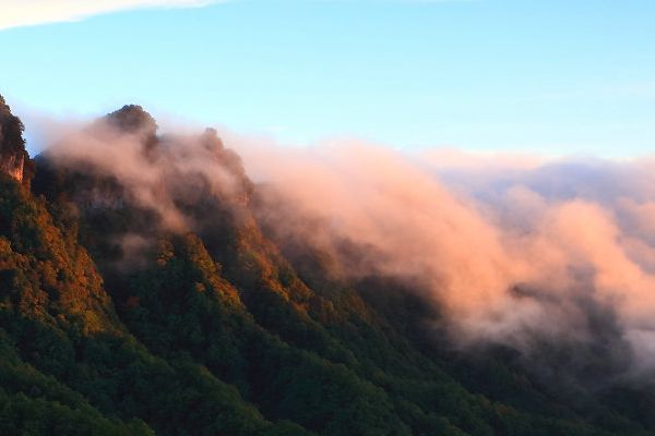 曙光植发医院正规吗？揭秘植发医院的真相植发医院的选择与判断