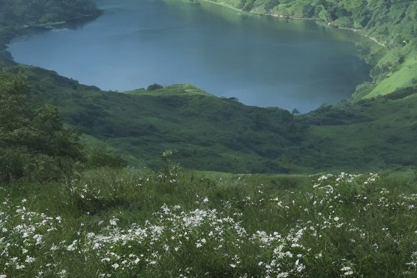 全国植发医院医生查询服务