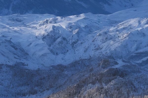 广州十大植发医院价目表
广州植发医院哪家专业