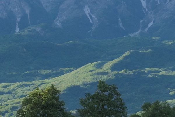 美容外科学：揭秘医学中的美丽与技术进步