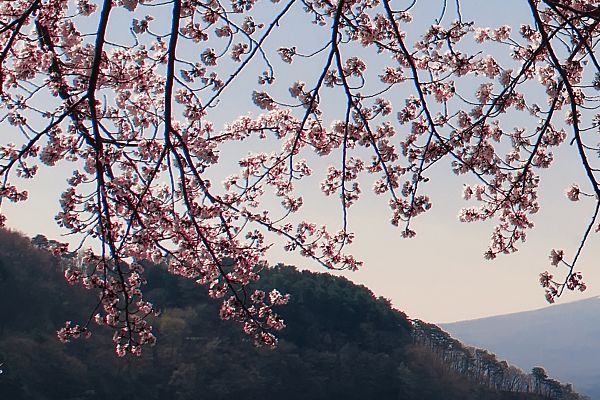 如何实现面部年轻化？费用解析皱纹去除术价格