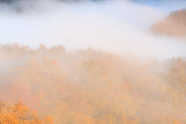 天津哪里的医美技术最值得信赖天津医美整形医院推荐