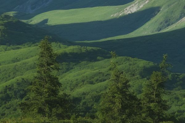 怀化地区整形医院综合排名