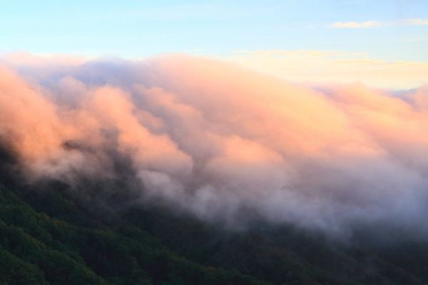 太原军大整形美容医院详细地址