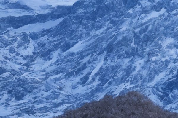 芜湖哪家整形医院口碑最佳