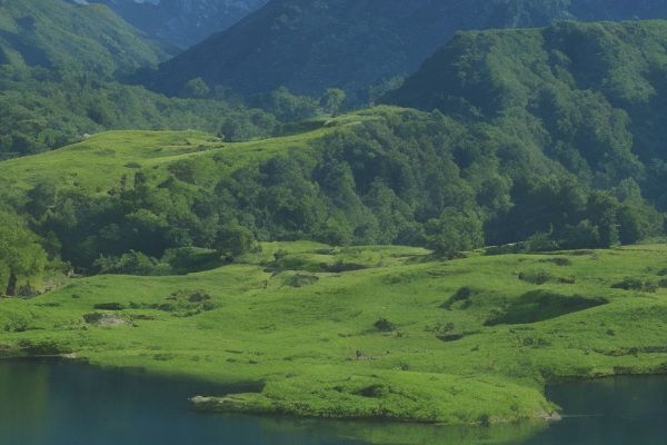 佛山碧莲盛植发医院详细地址及联系方式佛山碧莲盛植发医院位置