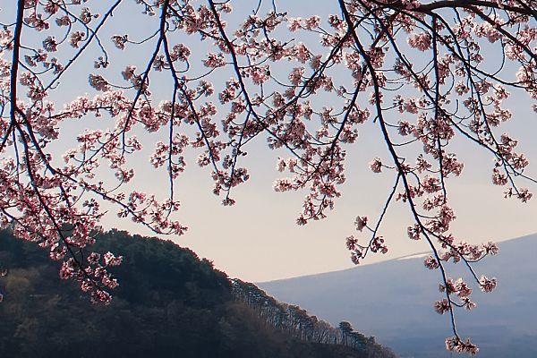 整形医院所需必备证件清单设备设施