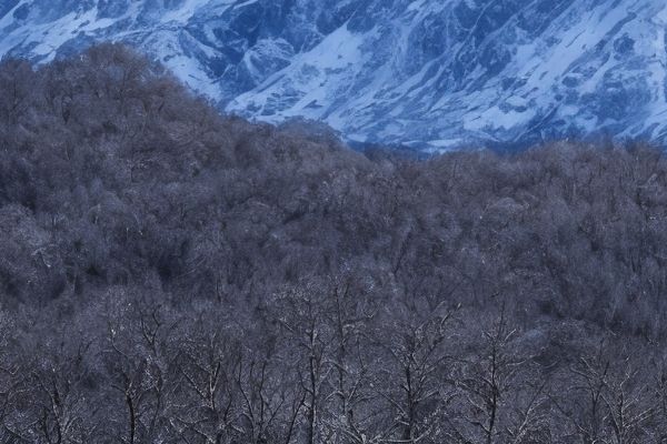 川字纹选择打哪种护肤方式更有效川字纹处理选择打玻尿酸还是除皱针