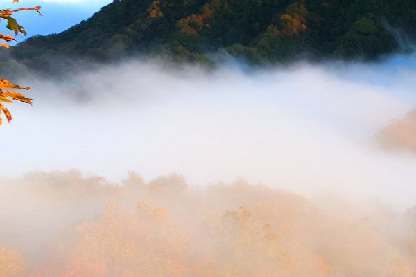 最佳双眼皮宽度是多少毫米最合适双眼皮埋线多少毫米合适